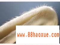 small295ce71efb1960c4747bfe9be5b4a67e.jpg